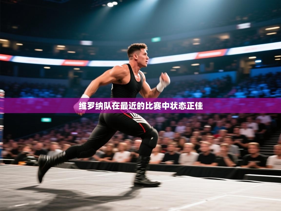 维罗纳队在最近的比赛中状态正佳 第1张