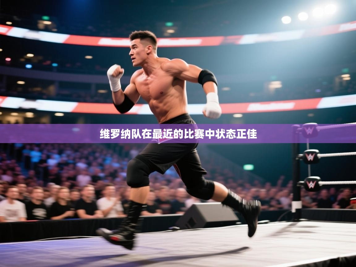 维罗纳队在最近的比赛中状态正佳 第2张