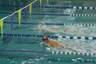 九游官网入口活动-“新加坡泳池见证泳坛巨星！2025世界游泳锦标赛激烈开赛”  第3张